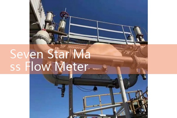Seven Star Mass Flow Meter